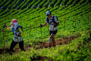 BIB: 9332
                            <button type="button" onclick="openModal(19161224)" class="btn btn-primary btn-sm float-right btn-popup" data-toggle="modal" data-target=".modal-high-quality">
                        <i class="fas fa-shopping-cart"></i> Add to Cart
                    </button>
                                            <button type="button" onclick="isThisMe(19161224, true)" class="btn btn-success btn-sm float-right btn-popup btn-isme hidden" data-toggle="tooltip" data-placement="bottom" title="นี่คือรูปของคุณใช่ไหม คลิกที่นี่เพื่อเอาเข้าอัลบั้ม">
                        <i class="fas fa-plus"></i> Add to album
                    </button>
                    <button type="button" onclick="isThisMe(19161224, false)" class="btn btn-warning btn-sm float-right btn-popup btn-isnotme hidden">
                        <i class="fas fa-ban"></i> Remove from album
                    </button>